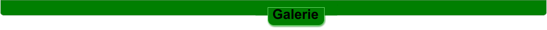 Galerie